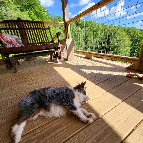 Meet your Posher, Willameenablue - Picture 9 of 9